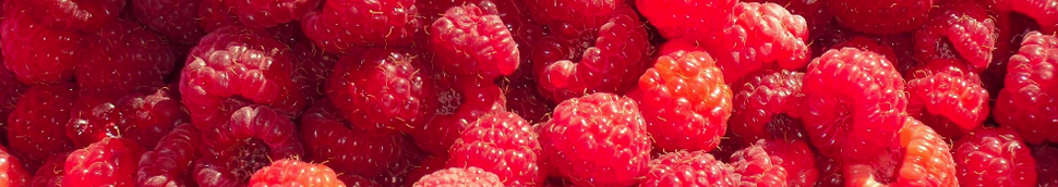 Fruits rouges : framboise